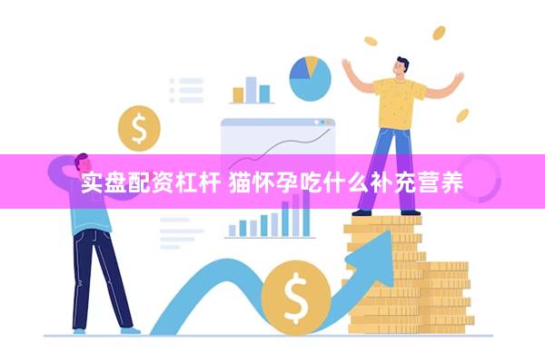 实盘配资杠杆 猫怀孕吃什么补充营养