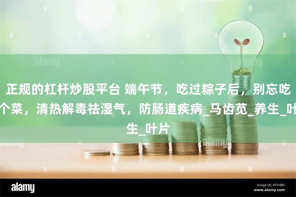 正规的杠杆炒股平台 端午节，吃过粽子后，别忘吃这个菜，清热解毒祛湿气，防肠道疾病_马齿苋_养生_叶片