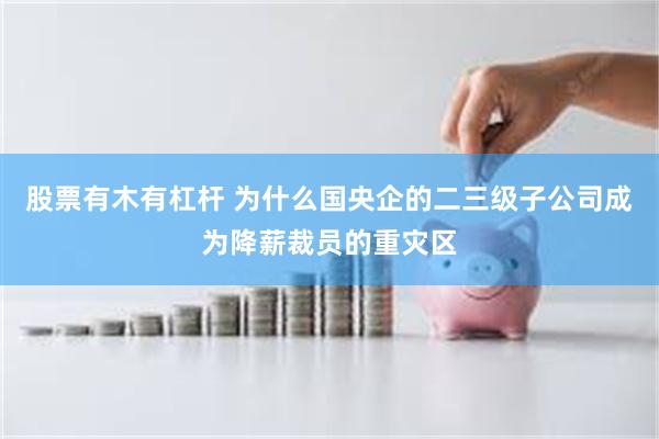 股票有木有杠杆 为什么国央企的二三级子公司成为降薪裁员的重灾区