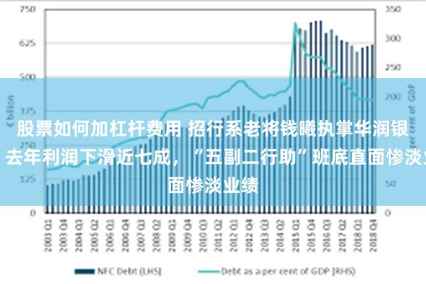 股票如何加杠杆费用 招行系老将钱曦执掌华润银行：去年利润下滑近七成，“五副二行助”班底直面惨淡业绩
